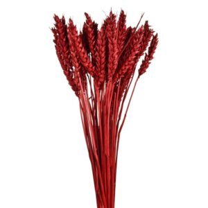GRANETTO TRITICUM BUSTA GR.120 COLORATO rosso (Cod. 32503-02)