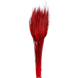 GRANO BAFFO O/A GLITTER BRILLANTE MAZZO PZ.50 rosso (Cod. 8478-01)