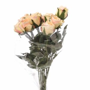 BOUQUET 11 ROSINI CM 38 champagne-32 (Cod. 34943-01)