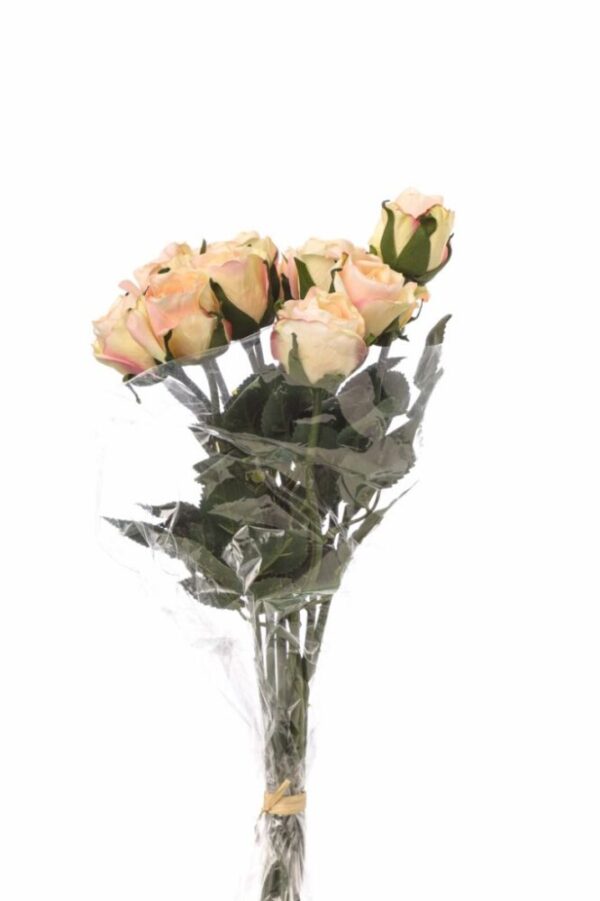 BOUQUET 11 ROSINI CM 38 champagne-32 (Cod. 34943-01)