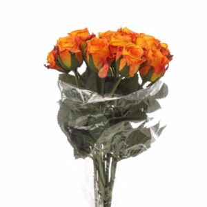 BOUQUET 11 ROSINI CM 38 arancio-21 (Cod. 34943-03)