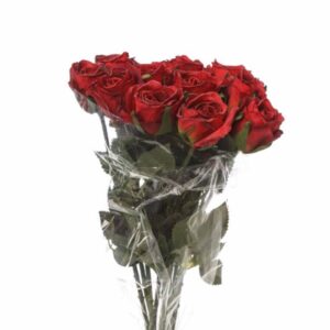 BOUQUET 11 ROSINI CM 38 rosso-02 (Cod. 34943-04)