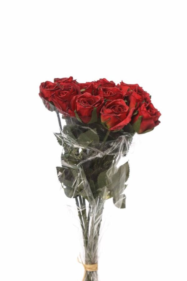 BOUQUET 11 ROSINI CM 38 rosso-02 (Cod. 34943-04)