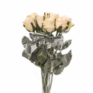 BOUQUET 11 ROSINI CM 38 bianco-03 (Cod. 34943-05)