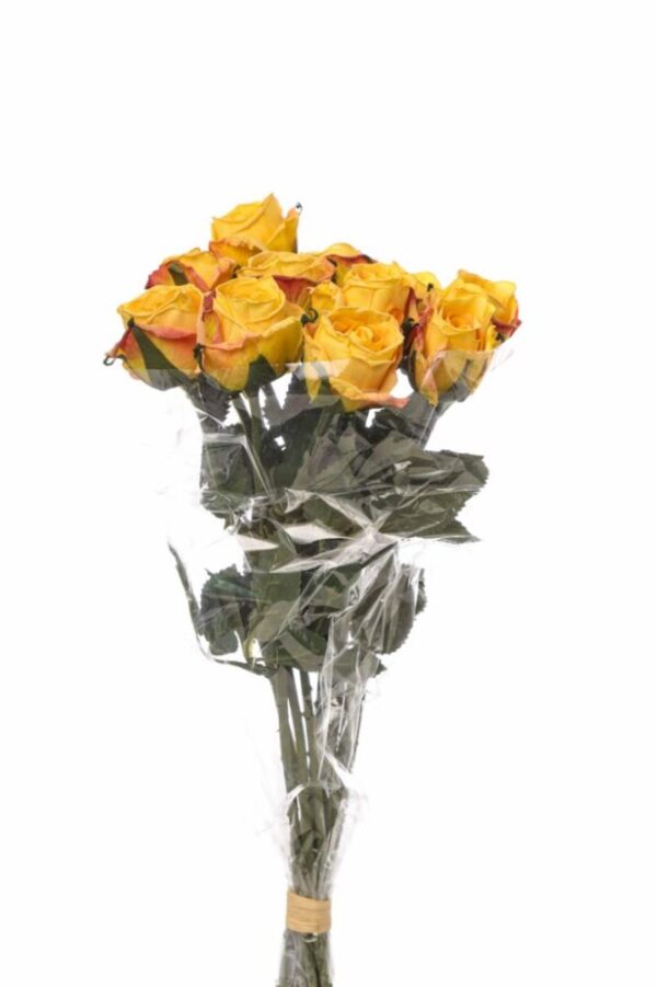 BOUQUET 11 ROSINI CM 38 giallo-06 (Cod. 34943-06)