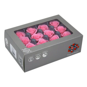 TESTE DI ROSA DIAM 3,5-4,5 MINI STABILIZZ. PZ 12 rosa-pastello (Cod. 8331-05)