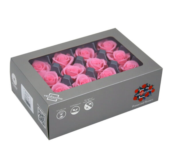 TESTE DI ROSA DIAM 3,5-4,5 MINI STABILIZZ. PZ 12 rosa-pastello (Cod. 8331-05)