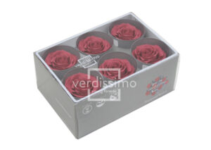 BOX TESTE DI ROSA D 6-6,5CM STABILIZ. PZ.6 cherry-vintage (Cod. 8330-11)