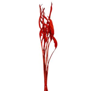 STERLIZIA FOGLIE PZ10 COLORATE rosso-peperoncino (Cod. 2157-14)