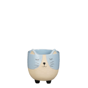 VASO A FORMA DI GATTO 11X11 H12 CM azzurro (Cod. 35365-02)