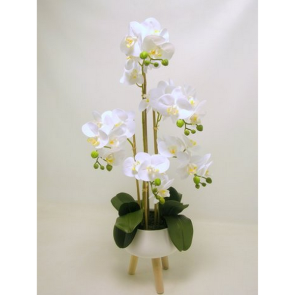 PHALENOPSIS REAL TOUCH CM73,5 IN VASO  (Cod. 35396-01)