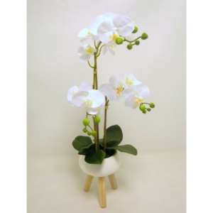 PHALENOPSIS REAL TOUCH CM61 IN VASO  (Cod. 35397-01)
