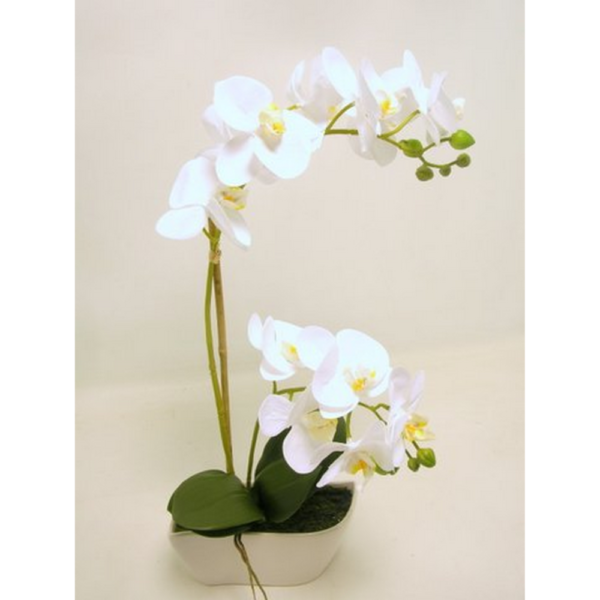 PHALENOPSIS REAL TOUCH CM51 IN VASO  (Cod. 35394-01)