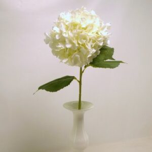 RAMO ORTENSIA CM82 crema (Cod. 35399-01)
