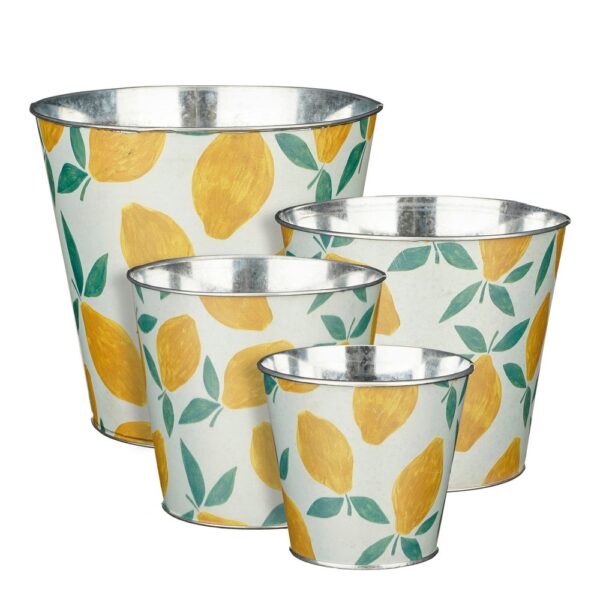 SET 4 LATTE H21 D22- H16 D18 - H15 D16 - H12 D13 h12-d13-cm (Cod. 35494-01)