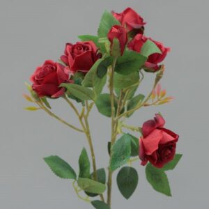 RAMO ROSE CM62 rosso (Cod. 35553-05)