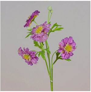 RAMO SCABIOSA CM55 beauty (Cod. 31329-01)
