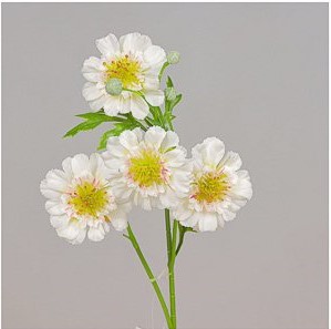 RAMO SCABIOSA CM55 crema (Cod. 31329-02)