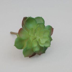 PIANTA GRASSA CM 16 verde (Cod. 34798-01)
