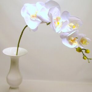 RAMO PHALENOPSIS 72CM crema (Cod. 30478-03)