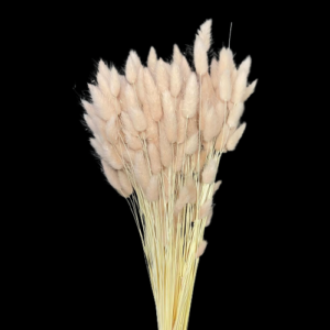 LAGURUS TOPINI GR.100 cipria (Cod. 32442-10)