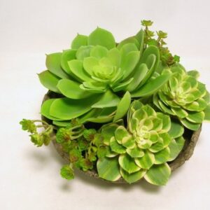 VASO D26 CON PIANTE GRASSE  (Cod. 35569-01)
