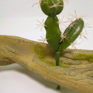 PICK CACTUS CM 17  (Cod. 35573-01)