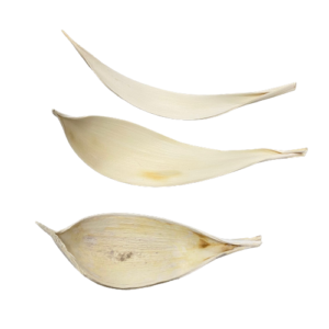 COCO MEDIO BIANCO 10PZ L15/25 CM  (Cod. 35418-01)