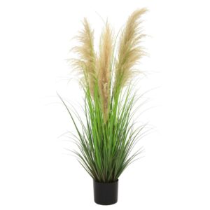 PAMPAS IN VASO H120 CM  (Cod. 35776-01)