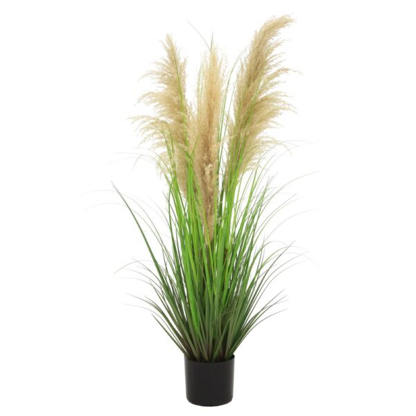 PAMPAS IN VASO H120 CM  (Cod. 35776-01)