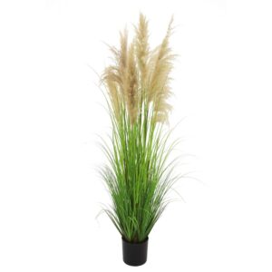 PAMPAS IN VASO H180 CM  (Cod. 35777-01)