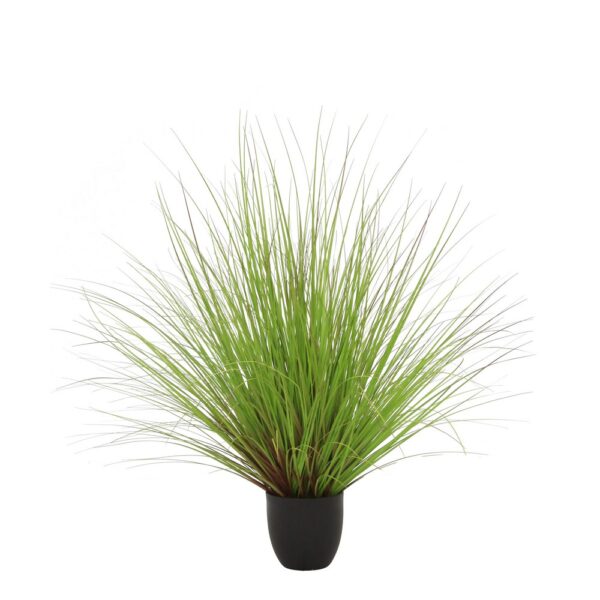 PIANTA VERDE IN VASO H90 CM  (Cod. 35781-01)