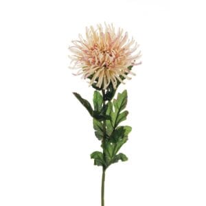 CRISANTEMO CON 5 FOGLIE 80CM SPIDER rosa-viola (Cod. 27755-08)