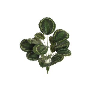 CALATHEA REAL TOUCH 18 FOGLIE 80 CM verde-crema-viola (Cod. 35754-01)