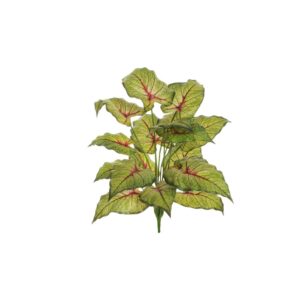 CALATHEA REAL TOUCH 18 FOGLIE 80 CM verde-rosso (Cod. 35754-03)