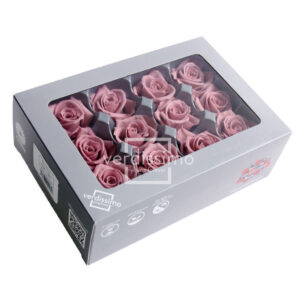 TESTE DI ROSA DIAM 3,5-4,5 MINI STABILIZZ. PZ 12 cherry-vintage (Cod. 8331-08)