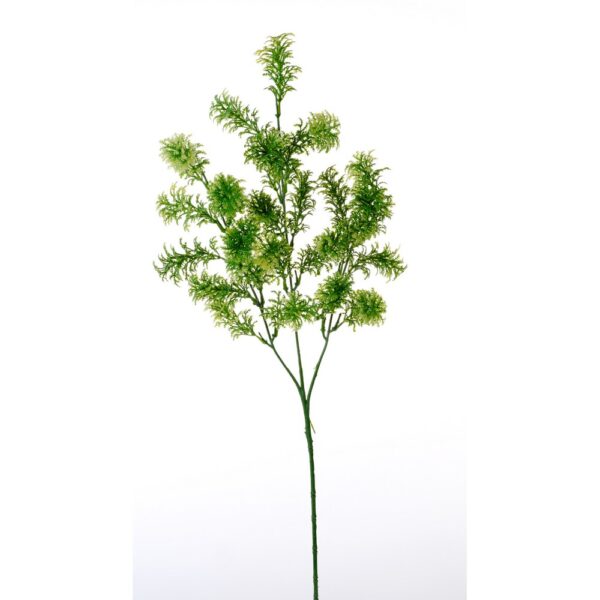 RAMO CARROTS X 3 verde-2 (Cod. 28039-01)