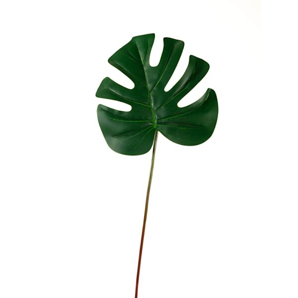 FOGLIA MONSTERA MEDIUM  (Cod. 35906-01)