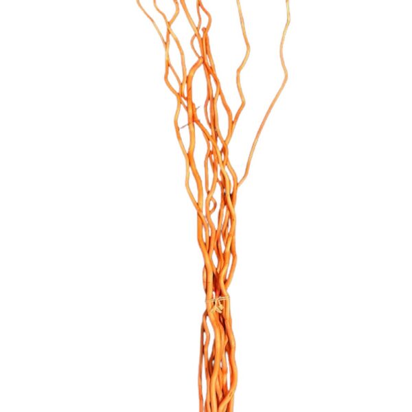 KUWA CM.100 PZ.10  arancio (Cod. 19684-06)