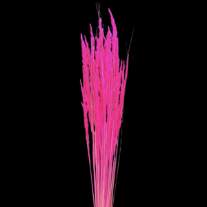 PIUMETTA CRISTINA 100 GR  fucsia (Cod. 35888-02)