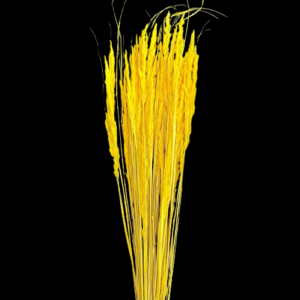 PIUMETTA CRISTINA 100 GR  giallo (Cod. 35888-03)
