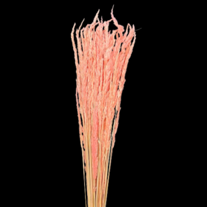 PIUMETTA CRISTINA 100 GR  rosa (Cod. 35888-04)