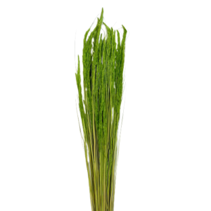 PIUMETTA CRISTINA 100 GR  verde-chiaro (Cod. 35888-06)