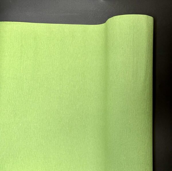 BOBINA RUSTICA CARTA CM 100 X 25 MT verde-chiaro (Cod. 8887-05)