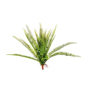 FELCE X24 CM52  (Cod. 35987-01)