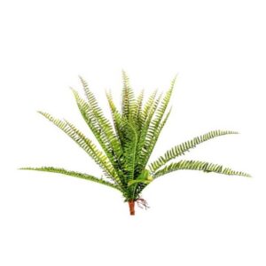 FELCE X24 CM52  (Cod. 35987-01)