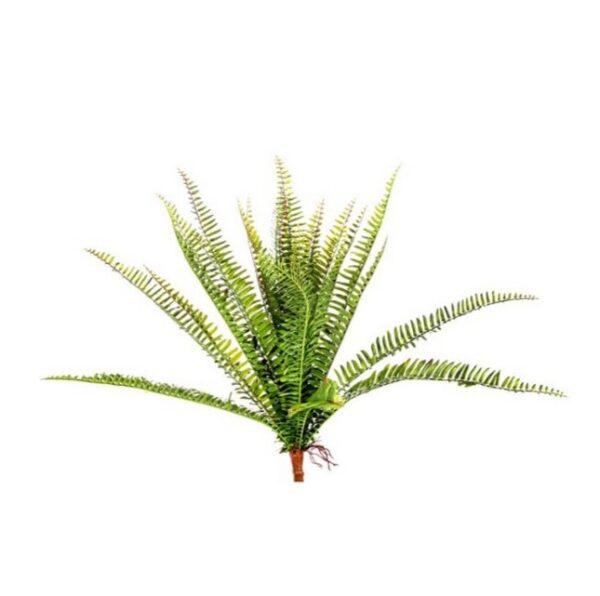 FELCE X24 CM52  (Cod. 35987-01)