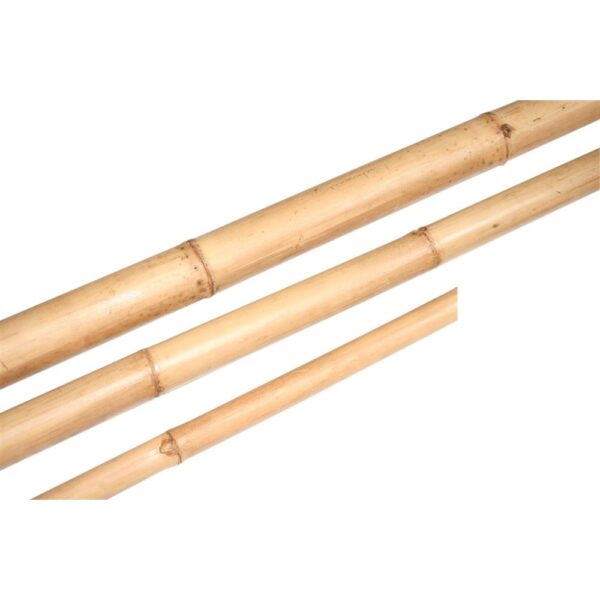 CANNE BAMBOO D 4-5 H210 CM  (Cod. 36405-01)