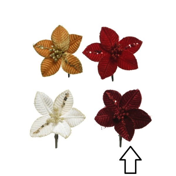 POINSETTIA CON CLIP D10 H2 CM bordeaux (Cod. 36031-04)