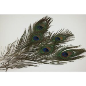 PIUME DI PAVONE 5 PZ. 30-35 CM  (Cod. 36451-01)